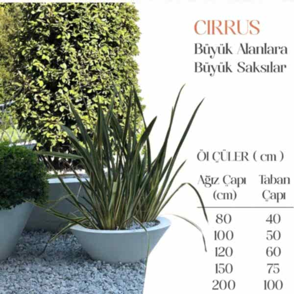 CİRRUS