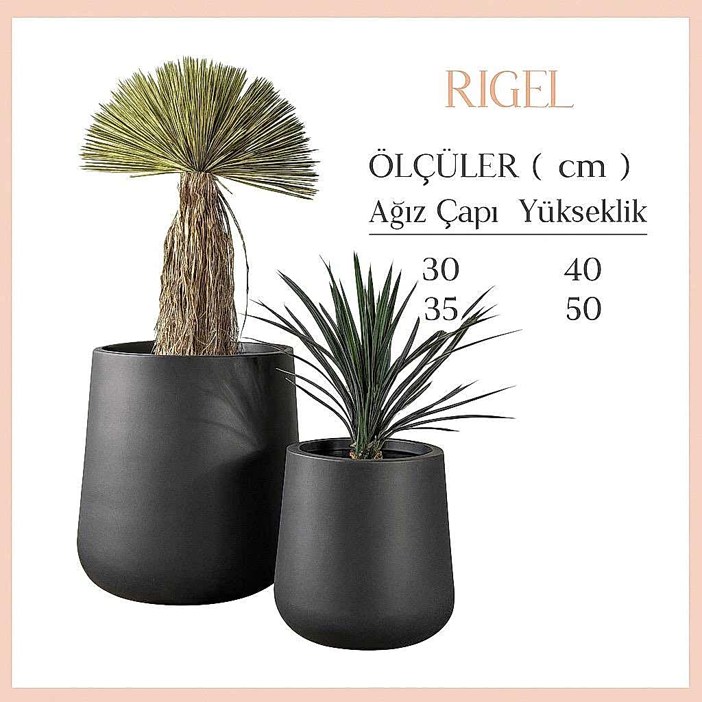 RİGEL
