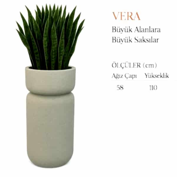VERA